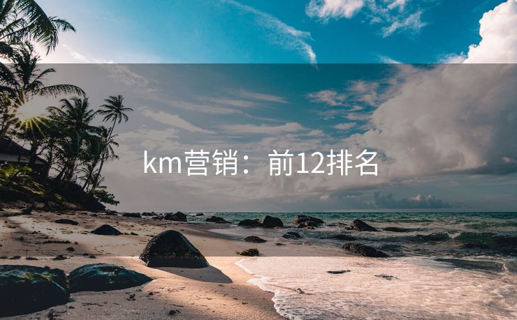 km營銷：前12排名