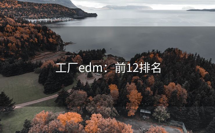 工廠edm：前12排名