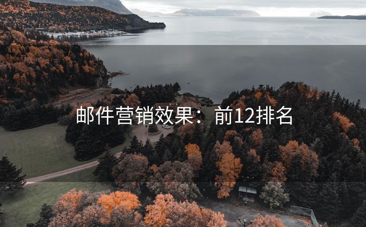 郵件營銷效果：前12排名