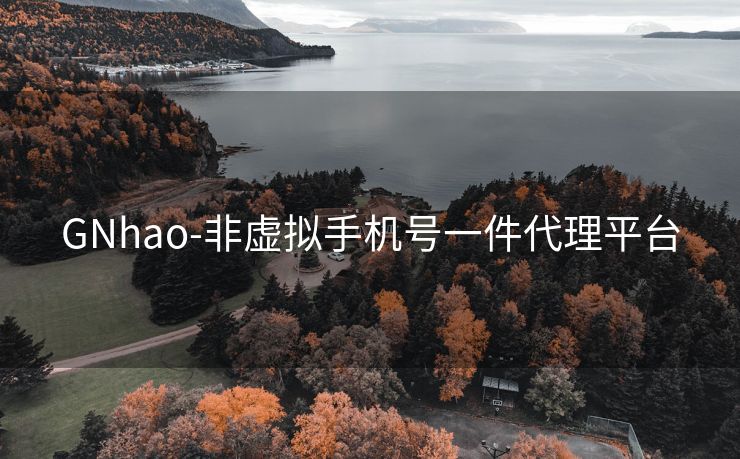 GNhao-非虛擬手機(jī)號(hào)一件代理平臺(tái)