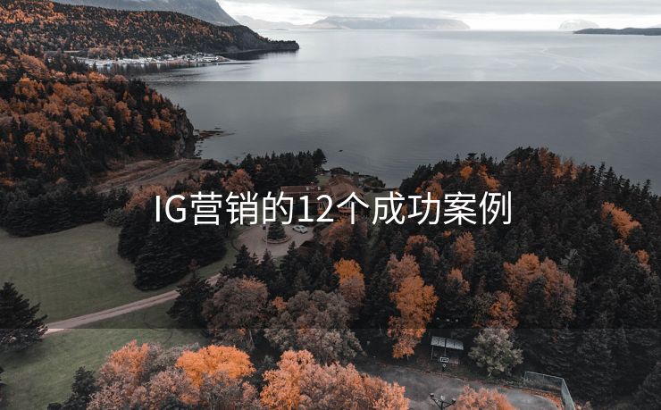 IG營銷的12個成功案例
