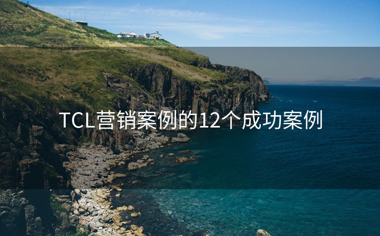 TCL營銷案例的12個成功案例