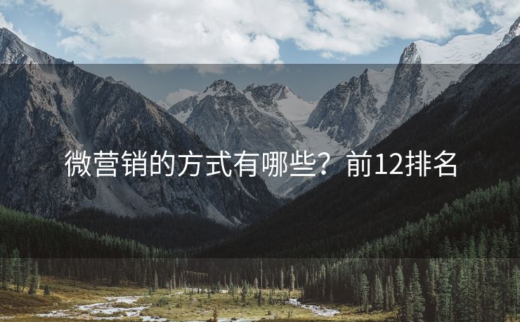 微營銷的方式有哪些？前12排名