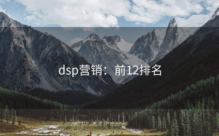dsp營銷：前12排名