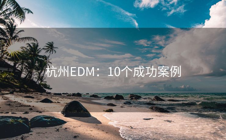 杭州EDM：10個(gè)成功案例