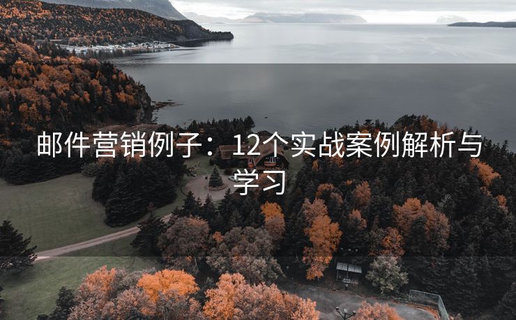 郵件營銷例子：12個實戰(zhàn)案例解析與學習