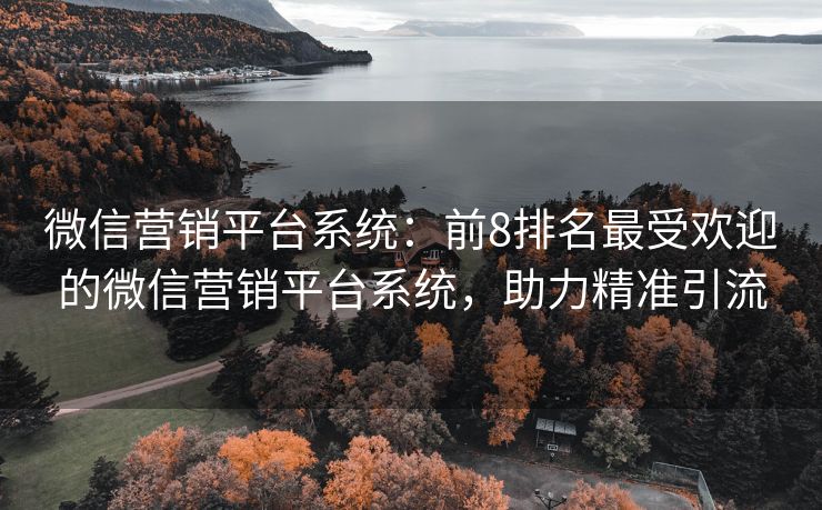 微信營銷平臺系統(tǒng)：前8排名最受歡迎的微信營銷平臺系統(tǒng)，助力精準(zhǔn)引流