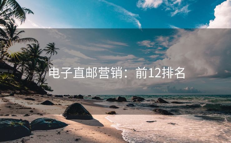 電子直郵營銷：前12排名