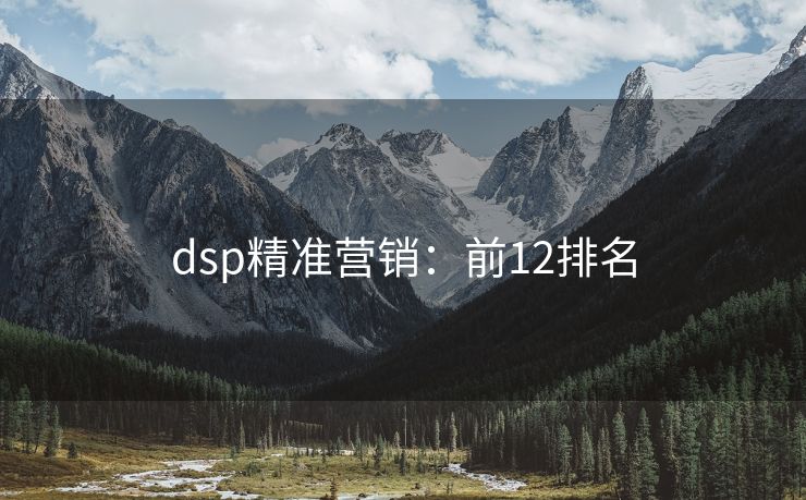 dsp精準(zhǔn)營(yíng)銷：前12排名
