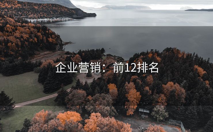 企業(yè)營(yíng)銷：前12排名