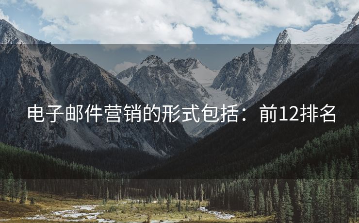 電子郵件營(yíng)銷的形式包括：前12排名