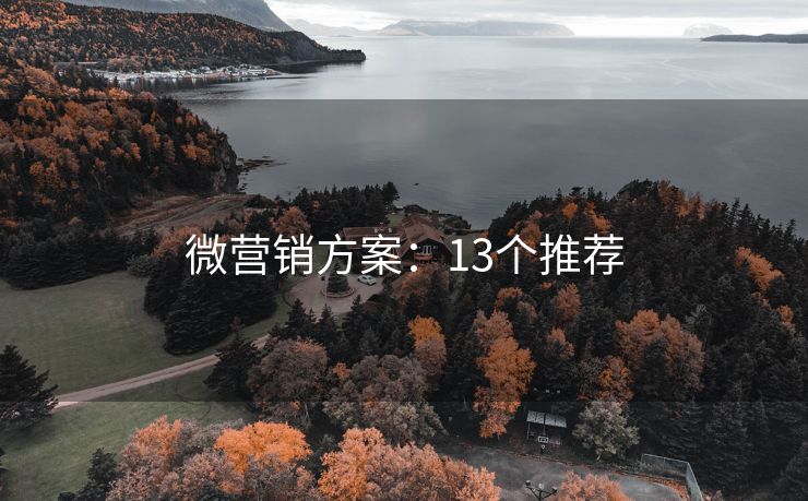 微營銷方案：13個(gè)推薦