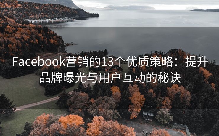 Facebook營銷的13個(gè)優(yōu)質(zhì)策略：提升品牌曝光與用戶互動(dòng)的秘訣
